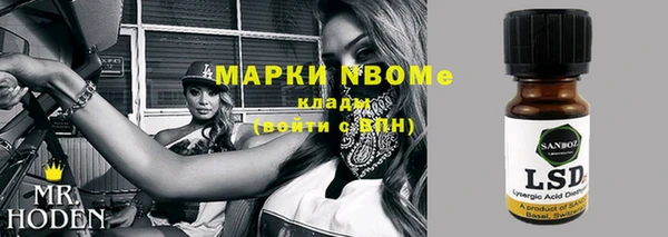 гашик Бородино