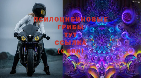 стаф Бугульма