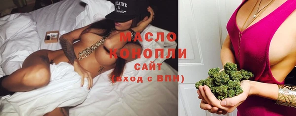 гашик Бородино
