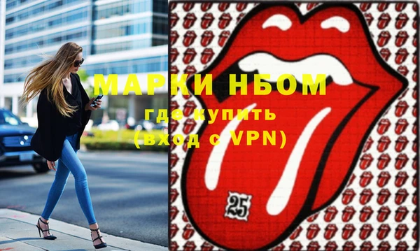 гашик Бородино