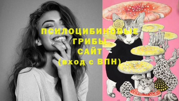 стаф Бугульма