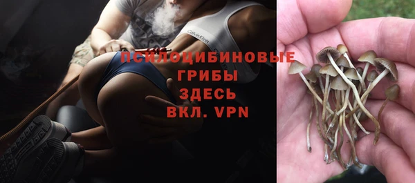 гашик Бородино