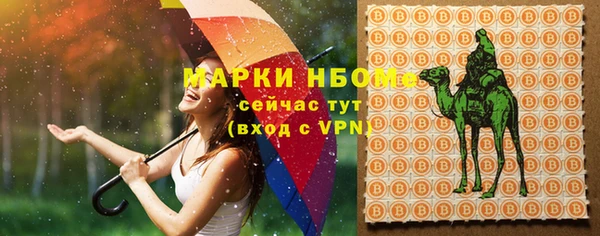 гашик Бородино